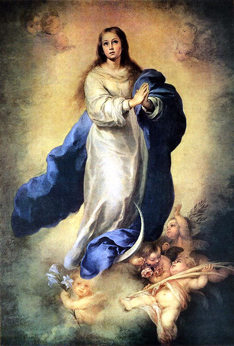 Risultati immagini per Immacolata Maria