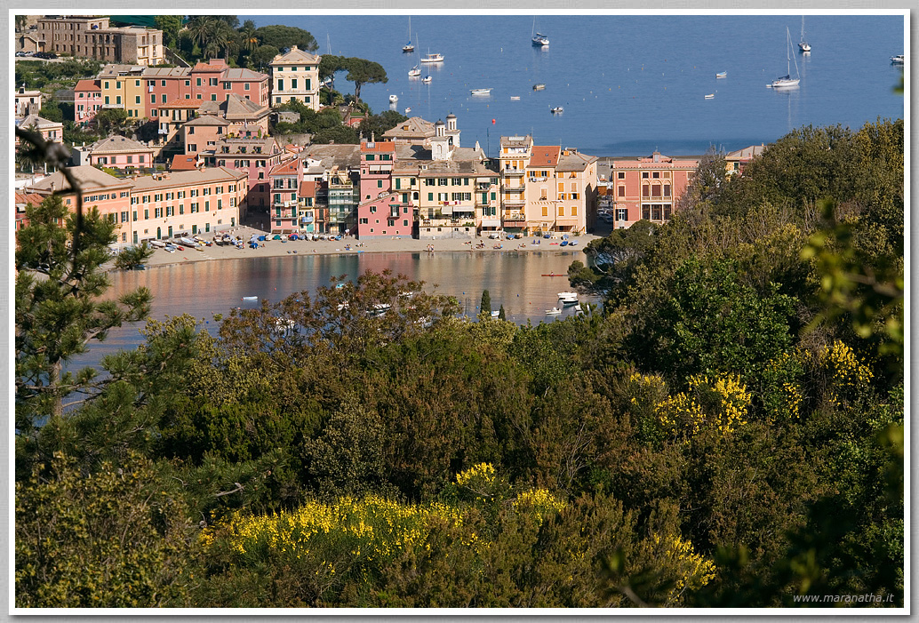 Maranatha.it Photo Gallery