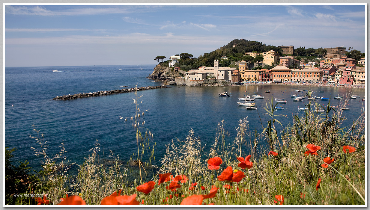 Maranatha.it Photo Gallery